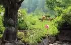 Les jardins&nbsp;&nbsp;&nbsp;&copy; S. Ribeyreix
