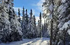 Sentiers de ski de fond&nbsp;&nbsp;&nbsp;&copy; Les Sentiers de la Rivière Amédée