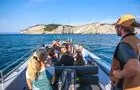 Croisière et interprétation Cap bon ami, Gaspé&nbsp;&nbsp;&nbsp;&copy; Auberge et Chalets Griffon Aventure