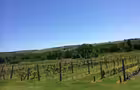 Vignoble Les Côtes du Gavet&nbsp;&nbsp;&nbsp;&copy; Vignoble Les Côtes du Gavet