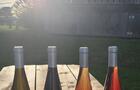 Vins secs&nbsp;&nbsp;&nbsp;&copy; Val Caudalies - vignoble et cidrerie