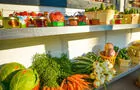 Fruits et légumes&nbsp;&nbsp;&nbsp;&copy; Ferme Guillaume Létourneau