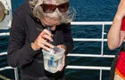 Laboratoire sur la mer - 2&nbsp;&nbsp;&nbsp;&copy; J.Landry
