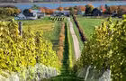 Paysage d'automne&nbsp;&nbsp;&nbsp;&copy; L.Leclerc