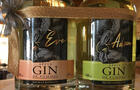Gins