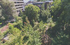 Jardin Biodiversité Pollinisateurs&nbsp;&nbsp;&nbsp;&copy; M-P.Savard