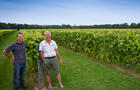 Vignoble Mondor - 4&nbsp;&nbsp;&nbsp;&copy; G.Mondor