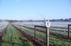 Vignoble Mondor - 14&nbsp;&nbsp;&nbsp;&copy; Vignoble Mondor