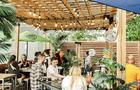 Terrasse Oasis Surf&nbsp;&nbsp;&nbsp;&copy; Oasis Surf