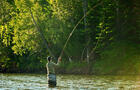 Pêche à la mouche sur la Rivière York&nbsp;&nbsp;&nbsp;&copy; F.Rioux