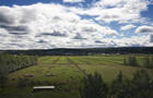 Paysage à la ferme