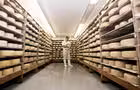 Salle d'affinage des fromages
