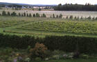 Vignoble et jardin