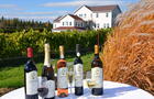 Vignoble et produits&nbsp;&nbsp;&nbsp;&copy; D.Mayer