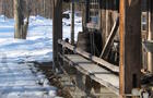 La cabane&nbsp;&nbsp;&nbsp;&copy; C.Rhéaume