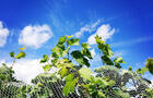 Domaine du Fleuve