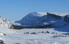 Cuesta hudsonienne sous la neige à Tursujuq&nbsp;&nbsp;&nbsp;&copy; P.Berube