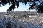 Saison hivernale