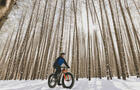 Fatbike
