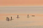 Séjour de planche à pagaie aux baleines&nbsp;&nbsp;&nbsp;&copy; S.Larose