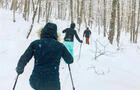 Ski nordique - Parc national de la Jacques-Cartier&nbsp;&nbsp;&nbsp;&copy; Quatre Natures