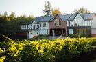 Le Vignoble du Ruisseau&nbsp;&nbsp;&nbsp;&copy; Le Vignoble du Ruisseau