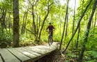 Mont Oak en été - vélo de montagne
