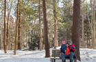 Bois Beckett&nbsp;&nbsp;&nbsp;&copy; Destination Sherbrooke