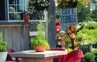 Café-terrasse&nbsp;&nbsp;&nbsp;&copy; S. Ribeyreix