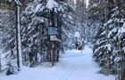 Signalisation&nbsp;&nbsp;&nbsp;&copy; Club ski beauce