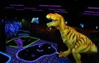 LaserPutt&nbsp;&nbsp;&nbsp;&copy; Laser Plus