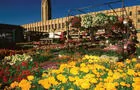 Grande variété de fleurs en saison&nbsp;&nbsp;&nbsp;&copy; J-G.Lavoie