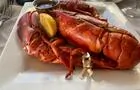 Homard&nbsp;&nbsp;&nbsp;&copy; Gaspésiana