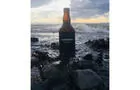 Double IPA (DIPA)&nbsp;&nbsp;&nbsp;&copy; Brasserie artisanale Le Bien le Malt