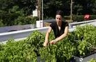 Toit jardin&nbsp;&nbsp;&nbsp;&copy; Chic Alors!