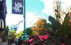Rue Laurier&nbsp;&nbsp;&nbsp;&copy; Laurier Ouest