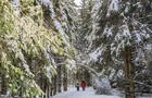 Activités dans les parcs nationaux&nbsp;&nbsp;&nbsp;&copy; N.Choquette