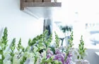 Fleurs