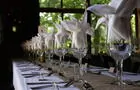 Tables décorées pour un événement