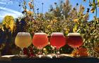 palette-couleur&nbsp;&nbsp;&nbsp;&copy; Trécarré Microbrasserie