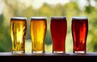 Bières de la microbrasserie Le Moulin 7&nbsp;&nbsp;&nbsp;&copy; Le P'tit Bonheur de Saint-Camille