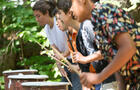 Percussions&nbsp;&nbsp;&nbsp;&copy; P.-E.Baillargeon