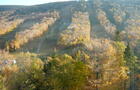 Vue de l'automne