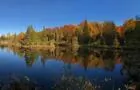 Étang privé du Domaine l'automne&nbsp;&nbsp;&nbsp;&copy; Jolivent
