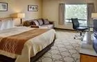 Chambre à très grand lit