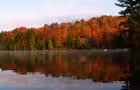 Automne