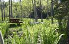 Site de camping