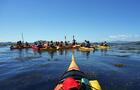 Kayak de mer dans le fleuve