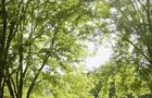 Camping Nature Plein air - Station O'Kataventures&nbsp;&nbsp;&nbsp;&copy; Camping Nature Plein air - Station O'Kataventures