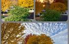 Aménagement&nbsp;&nbsp;&nbsp;&copy; Automne